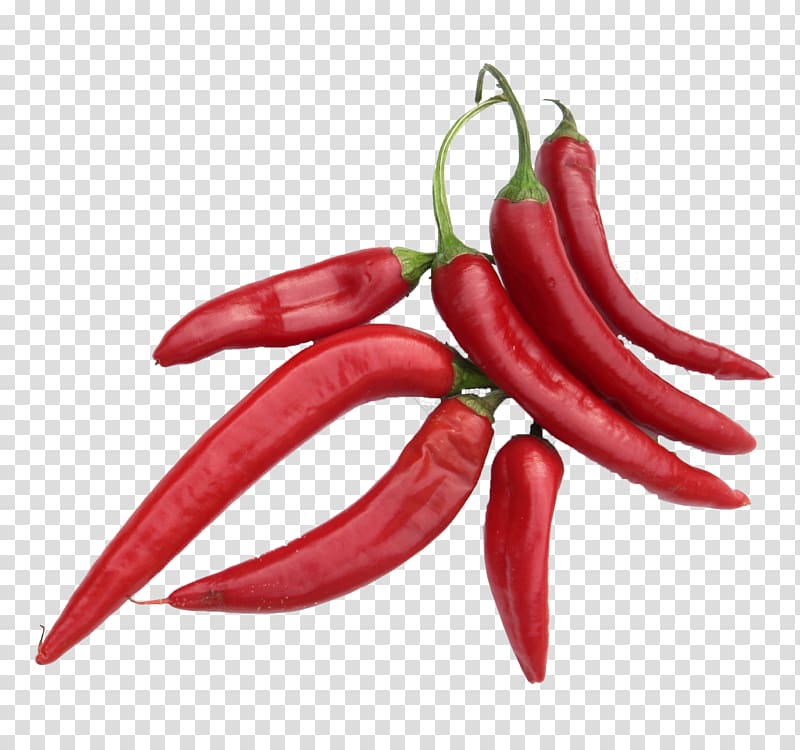 Chili pepper Cayenne pepper Tabasco pepper Peperoncino Spice, Capsicum Annuum transparent background PNG clipart