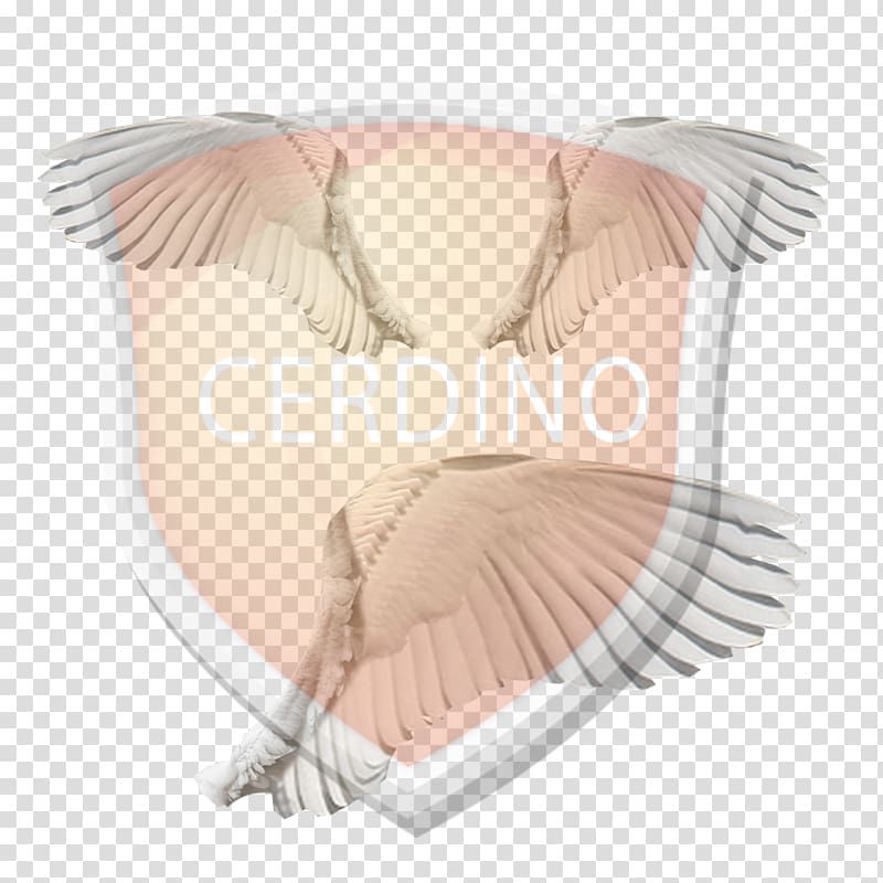 Shoulder, angel wings transparent background PNG clipart