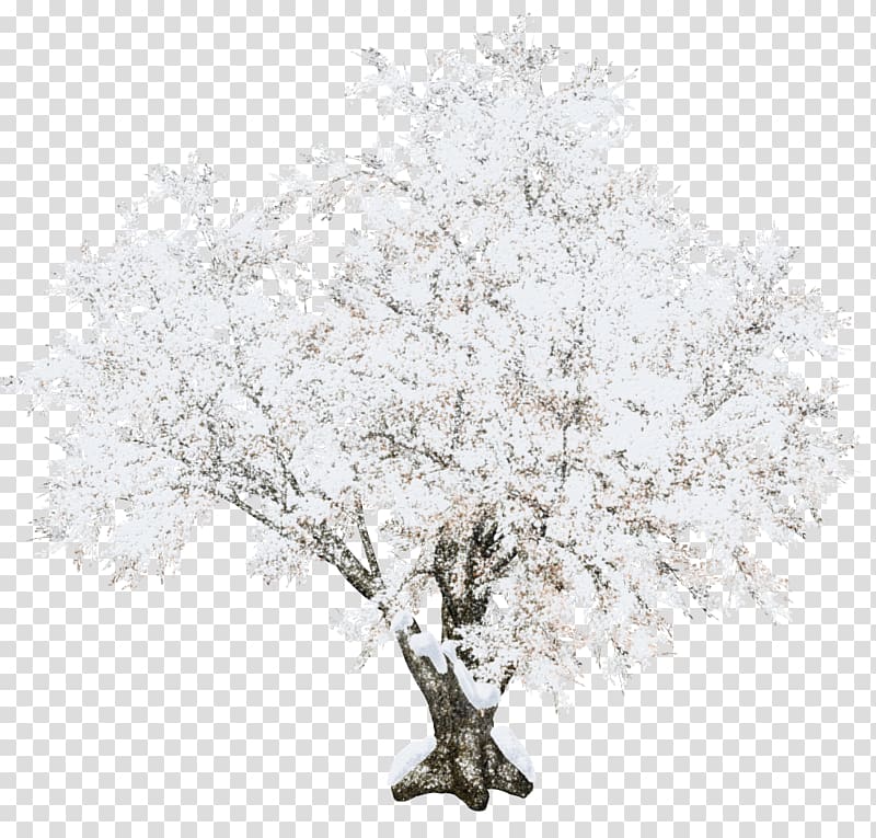 white leafed plant, Tree Christmas, Beautiful snow tree transparent background PNG clipart