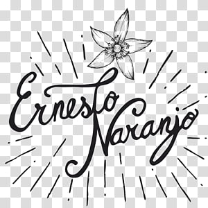 Drawing Line art Calligraphy , flower transparent background PNG clipart thumbnail