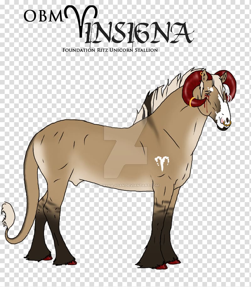 Stallion Mustang Mane Halter, lion transparent background PNG clipart