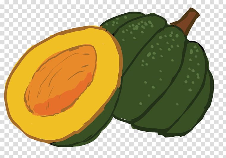 Calabaza Winter squash Cucurbita Acorn squash , acorn transparent background PNG clipart