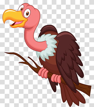 Bird Cartoon png download - 600*859 - Free Transparent Hooh png