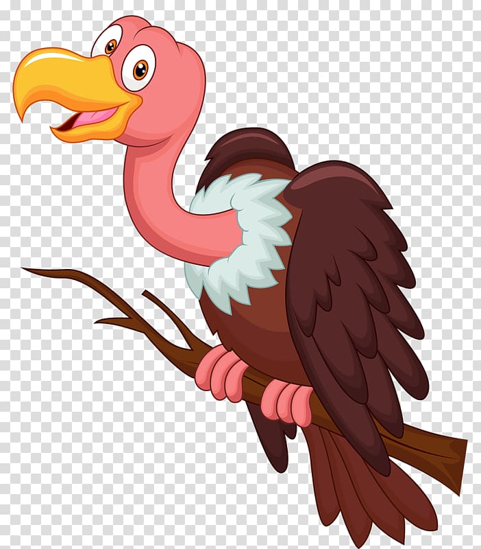 Bird Vulture Cartoon , bird cartoon transparent background PNG clipart