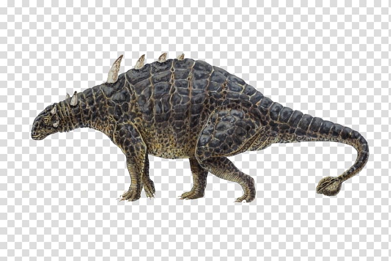 Euoplocephalus Ankylosaurus Styracosaurus Diplodocus Tuojiangosaurus, dinosaur transparent background PNG clipart