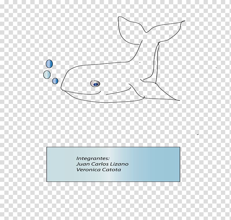 Paper Marine mammal Logo Product design, ballena transparent background PNG clipart