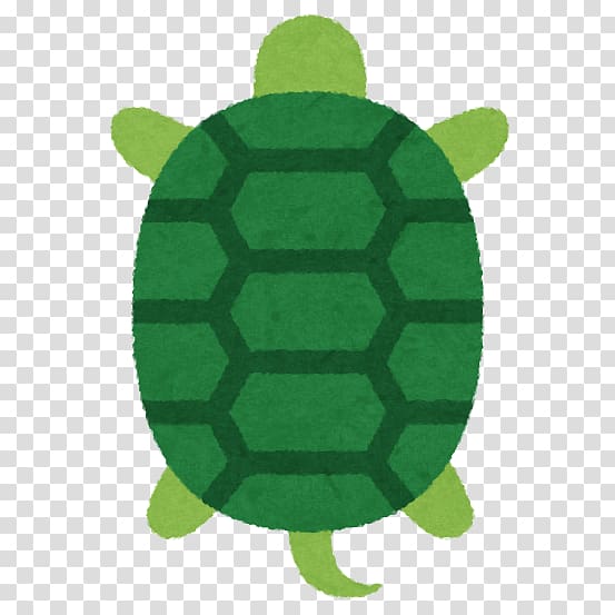 Tortoise, design transparent background PNG clipart