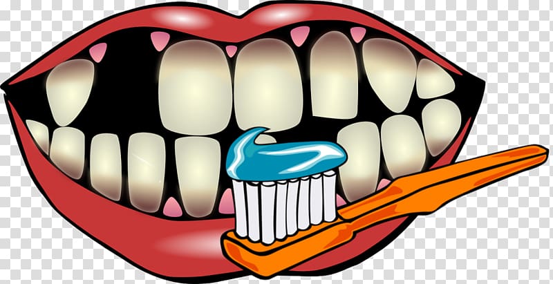 Human tooth Tooth decay Dentistry Gums, Dental Hygienist transparent background PNG clipart