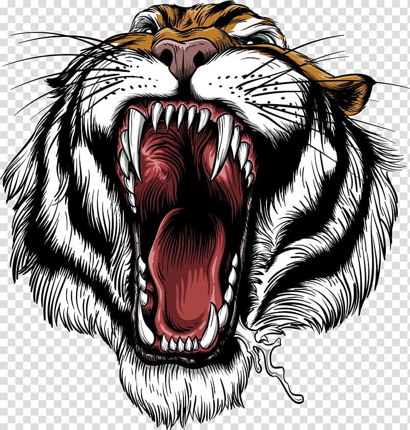 tiger , Siberian Tiger Roar Lion Leopard Bengal tiger, Open mouth of the tiger transparent background PNG clipart