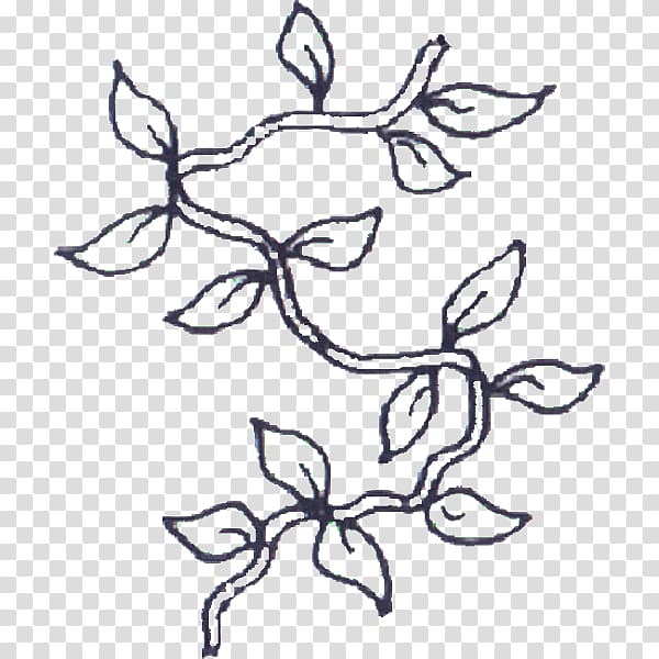 Coloring book Vine Drawing , child transparent background PNG clipart