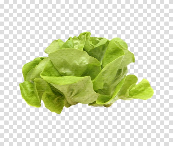 Romaine lettuce Spinach Vegetable Vegetarian cuisine, vegetable transparent background PNG clipart