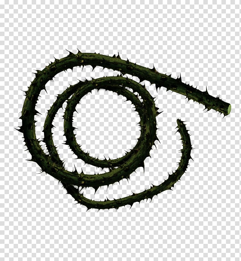 Whip Corpse Carrier Thorns, spines, and prickles Weapon Vine, whip transparent background PNG clipart