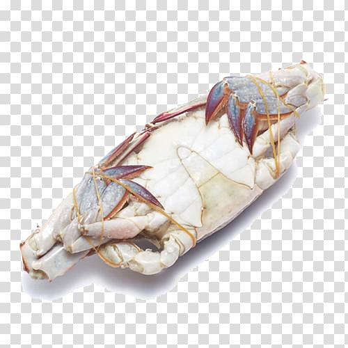 Dungeness crab King crab, Wild crab belly transparent background PNG clipart