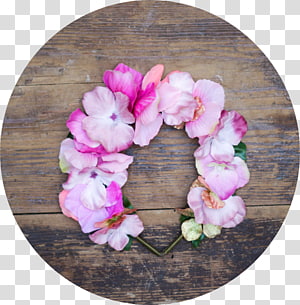 Petal Flower Floral design Headgear, flower transparent background PNG clipart thumbnail