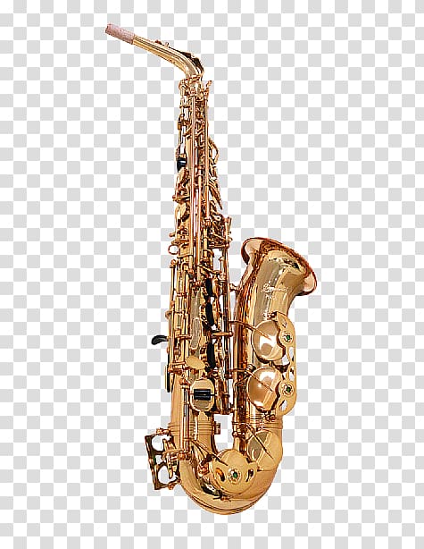 Baritone saxophone Clarinet family Bass oboe, saxophone player transparent background PNG clipart