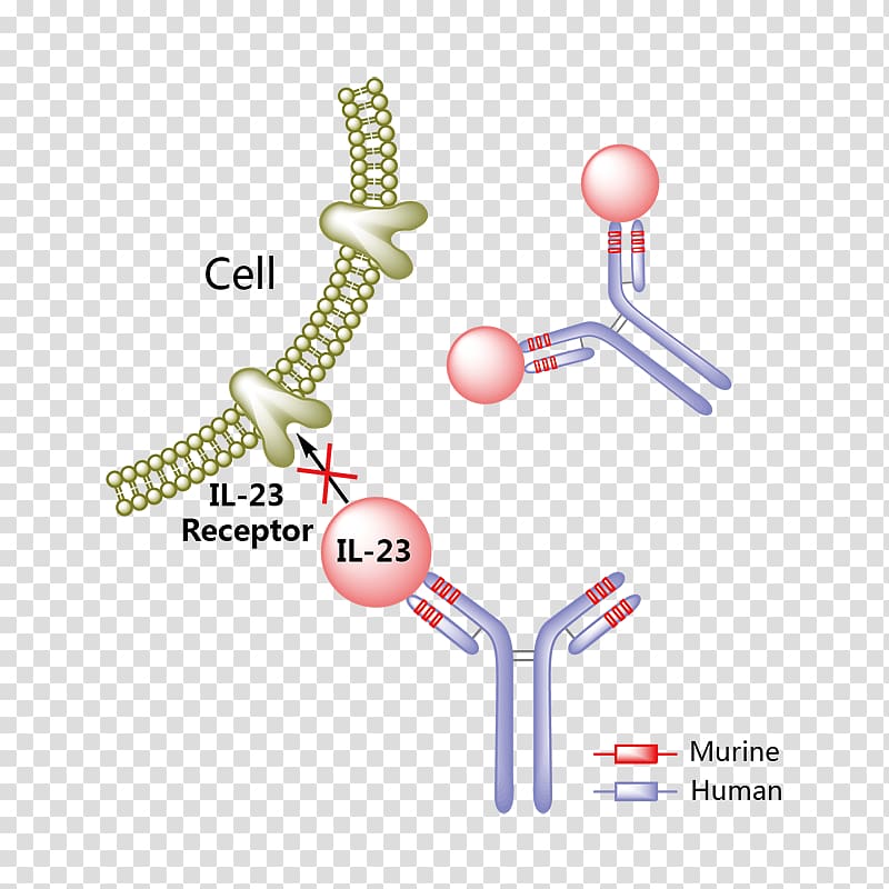 Mepolizumab Interleukin 5 Monoclonal antibody Asthma, Aceclofenac transparent background PNG clipart