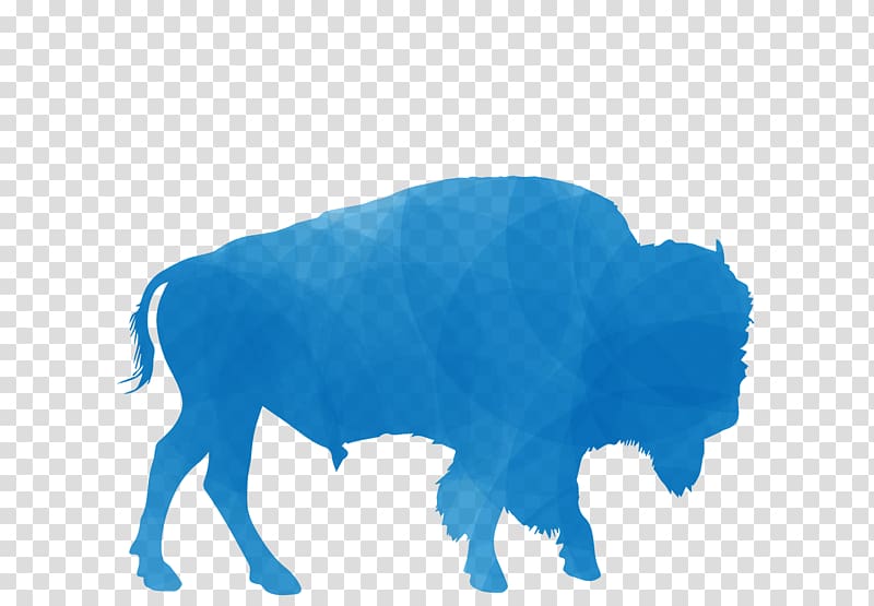 African buffalo American bison Paper T-shirt, T-shirt transparent background PNG clipart