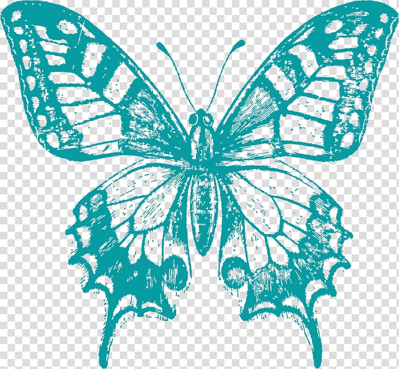 Swallowtail butterfly Papilio machaon Drawing Painting, t-shirts printed fabrics pattern shading pattern w transparent background PNG clipart