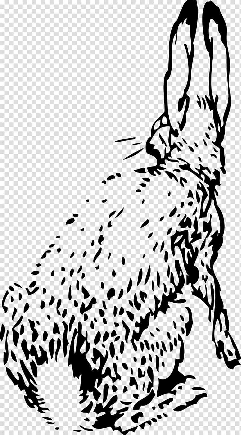 White Rabbit European hare , rabbit transparent background PNG clipart