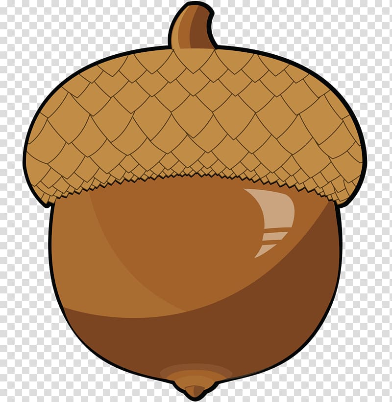 Acorn , acorn transparent background PNG clipart