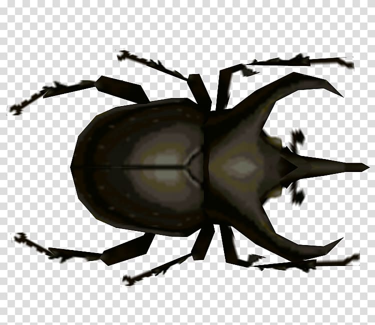 Japanese rhinoceros beetle Animal Crossing: City Folk Dung beetle Atlas beetle, atlas beetle transparent background PNG clipart