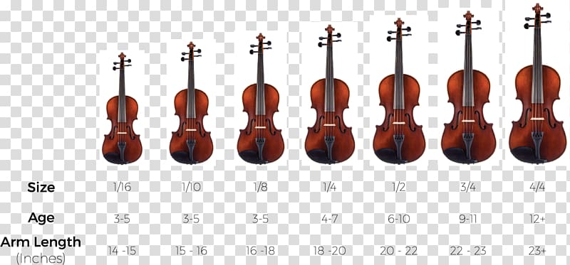 Cello Dimensions Chart