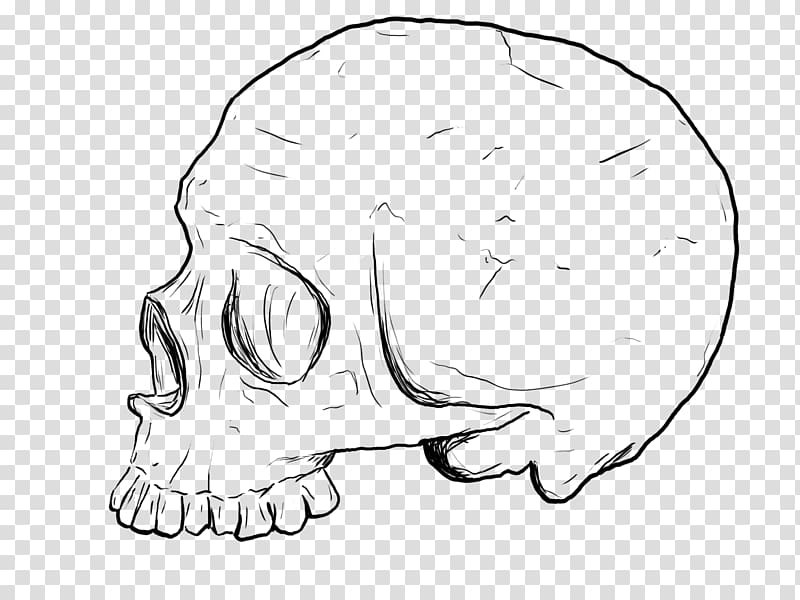Drawing Skull Calavera Line art, red skull print transparent background PNG clipart