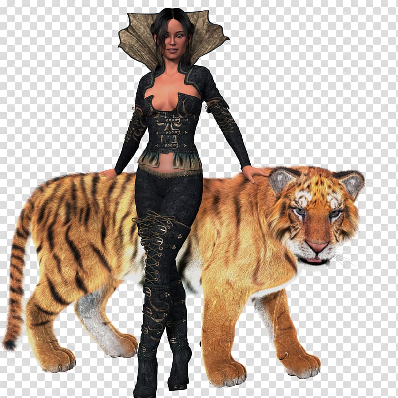 Tiger Kaplan Tigger Woman Lion, tiger transparent background PNG clipart
