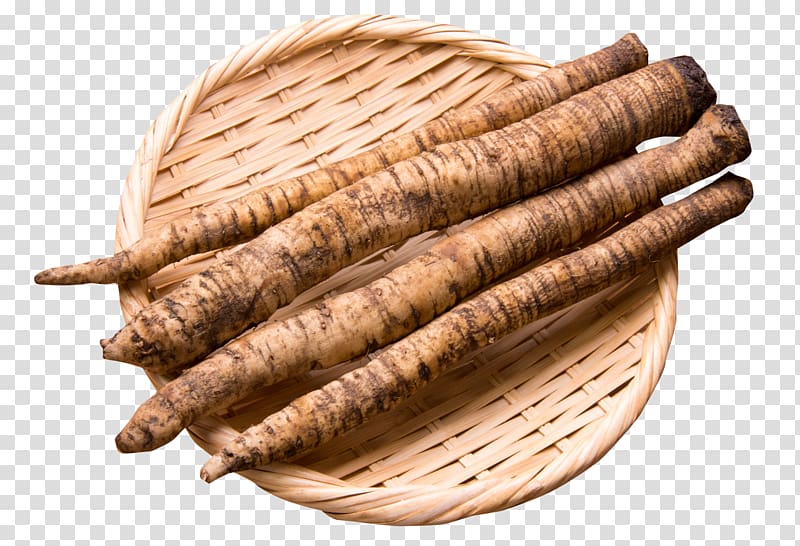 Greater burdock Root Seed Food Vegetable, Burdock Root In Bowl transparent background PNG clipart