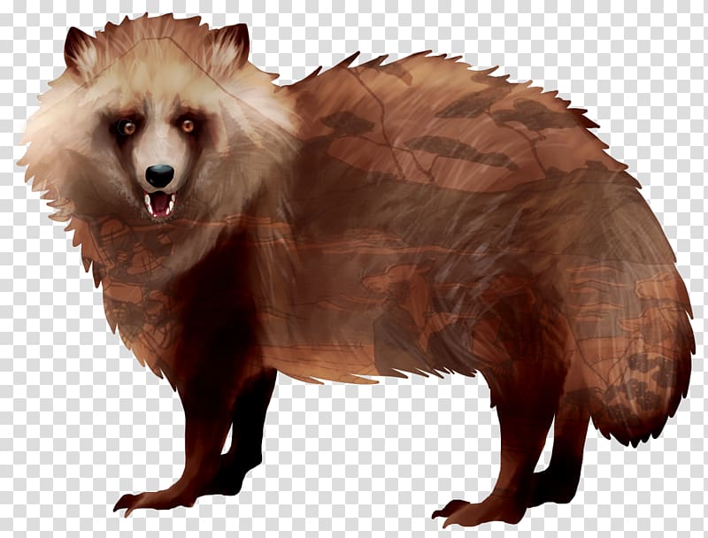 Japanese raccoon dog Brown bear Procyonidae, Japanese Raccoon Dog transparent background PNG clipart