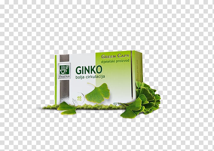 Herbalism, ginko transparent background PNG clipart