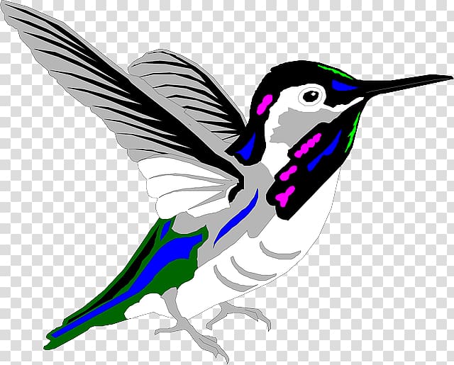 Hummingbird Animation Violetear, humming bird transparent background PNG clipart