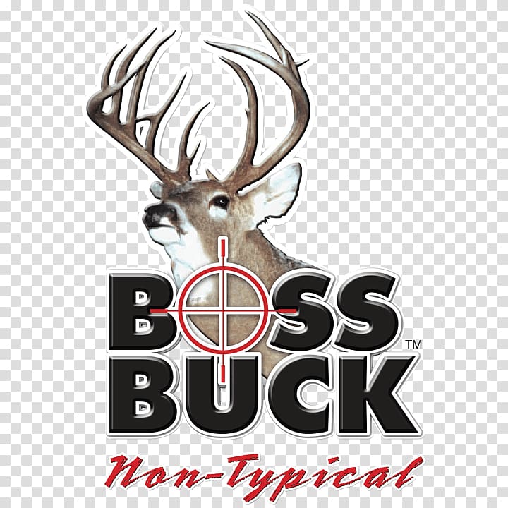 White-tailed deer Boss Buck Deer hunting, triple h transparent background PNG clipart
