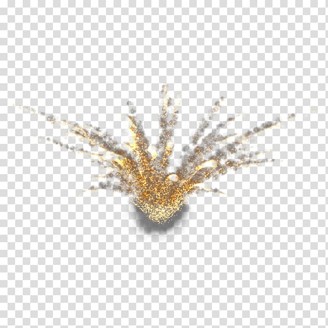 firework transparent background PNG clipart