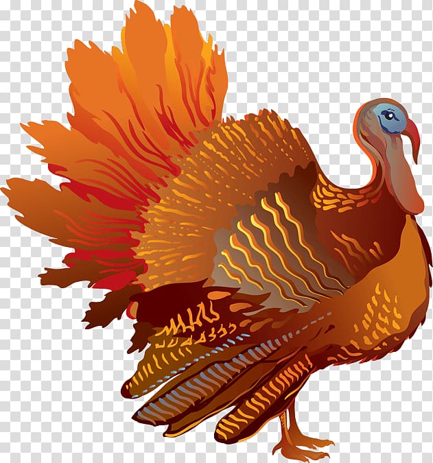 brown turkey , Thanksgiving Sideview Turkey transparent background PNG clipart