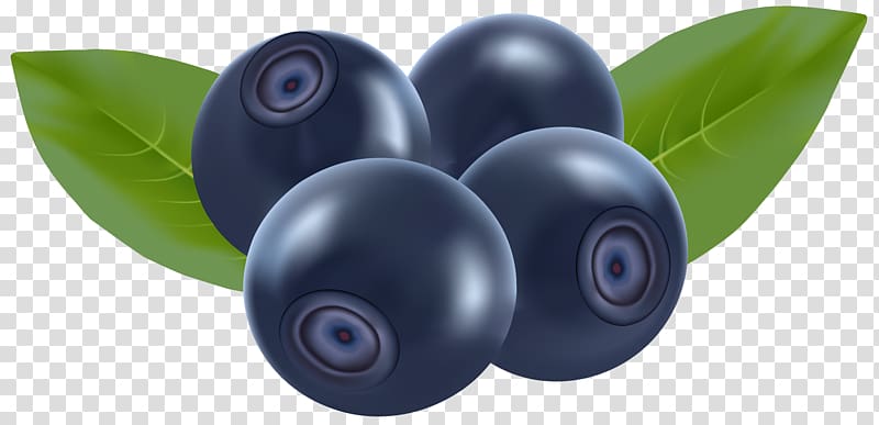 Blueberries transparent background PNG clipart