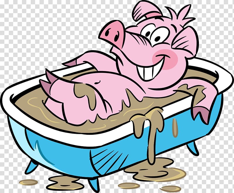 Domestic pig Cartoon , Bathe pig transparent background PNG clipart