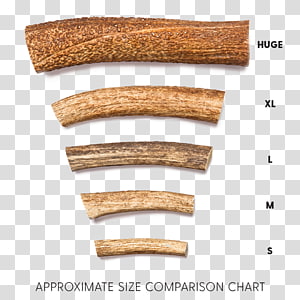 Deer Size Comparison Chart