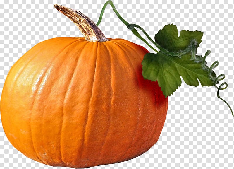 Pumpkin Cucurbita , Cartoon vegetables painted,Gifts pumpkin transparent background PNG clipart