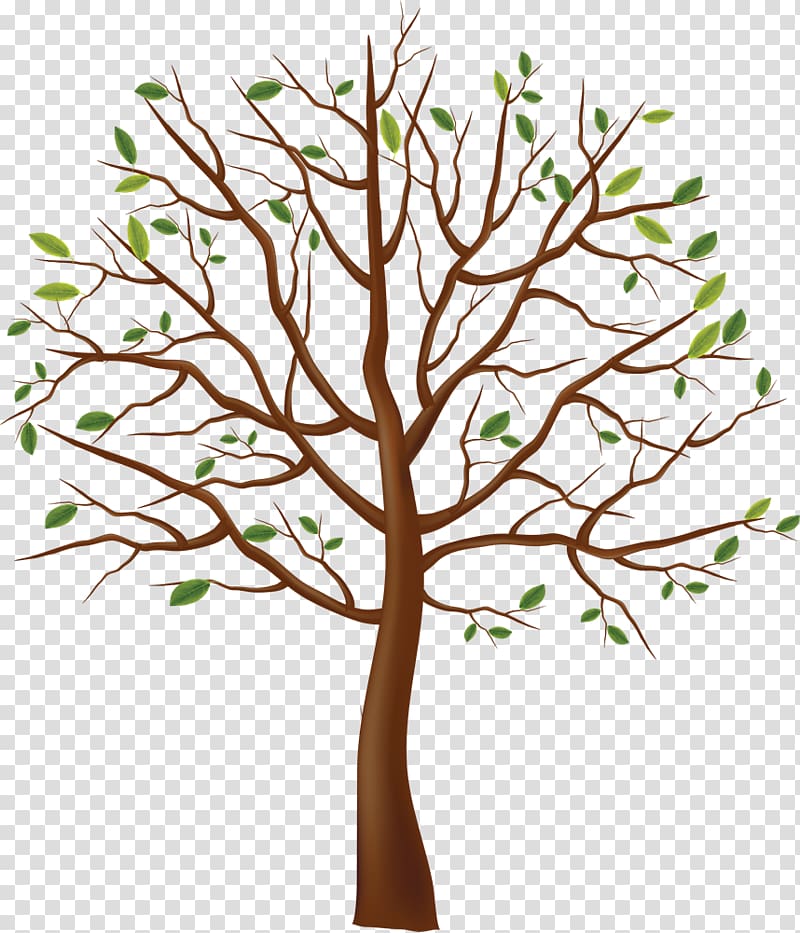 Tree , tree transparent background PNG clipart