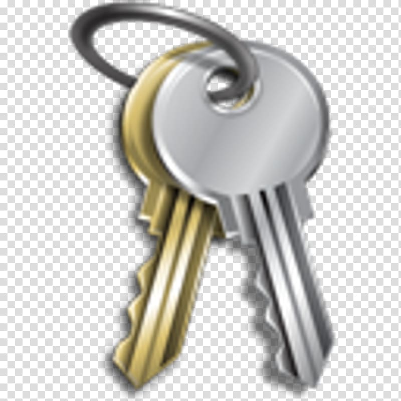Password Computer Icons Computer security Key, key transparent background PNG clipart