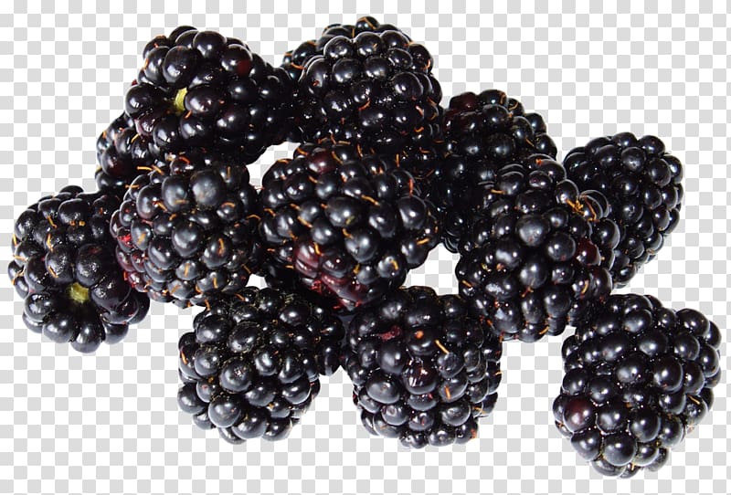 Smoothie Blackberry Fruit Black Raspberry, Blackberry transparent background PNG clipart