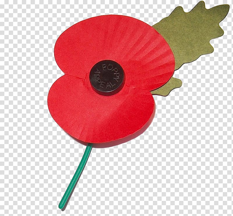 transparent background remembrance poppy png