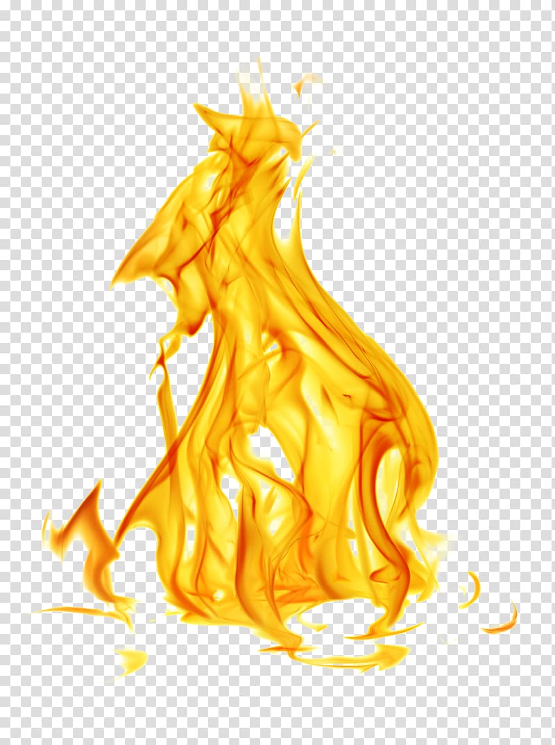 Flame Euclidean , Golden Flame transparent background PNG clipart