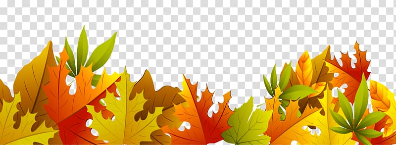 Autumn leaf color , Fall Decoration transparent background PNG clipart