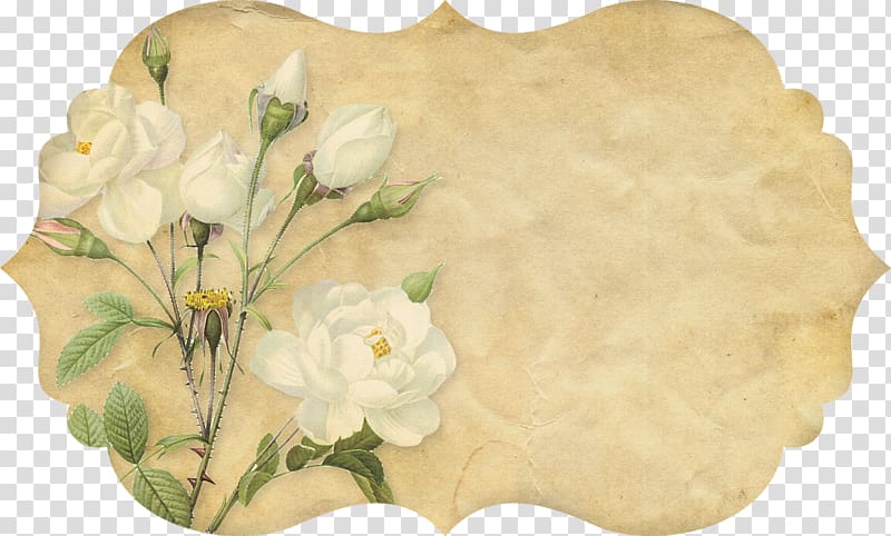 Paper Flower Botany Botanical illustration Painting, Vintage Computer transparent background PNG clipart