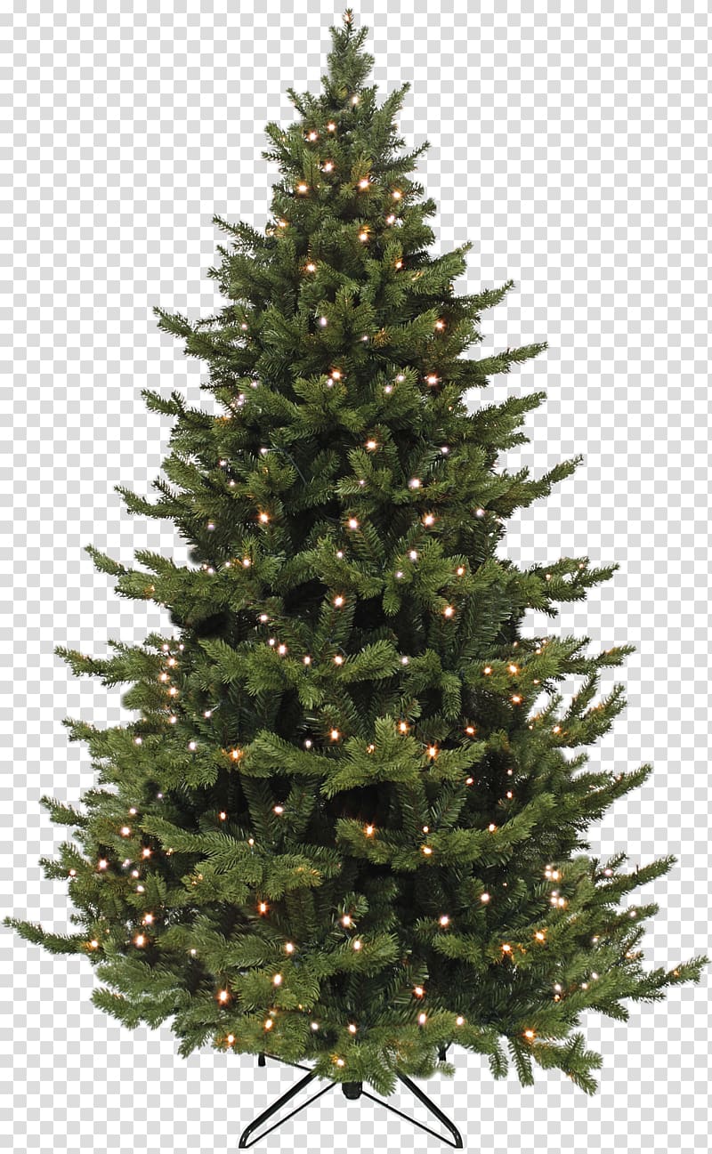 Artificial Christmas tree Spruce Abies bracteata, tree transparent background PNG clipart