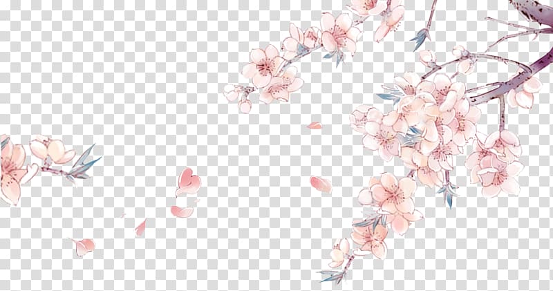 cherry blossom illustration, China Chinese art Drawing Anime, Hand-painted cherry blossom flower-free material transparent background PNG clipart