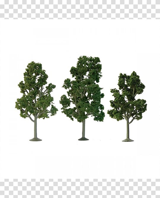 American sycamore HO scale N scale Tree London plane, tree transparent background PNG clipart