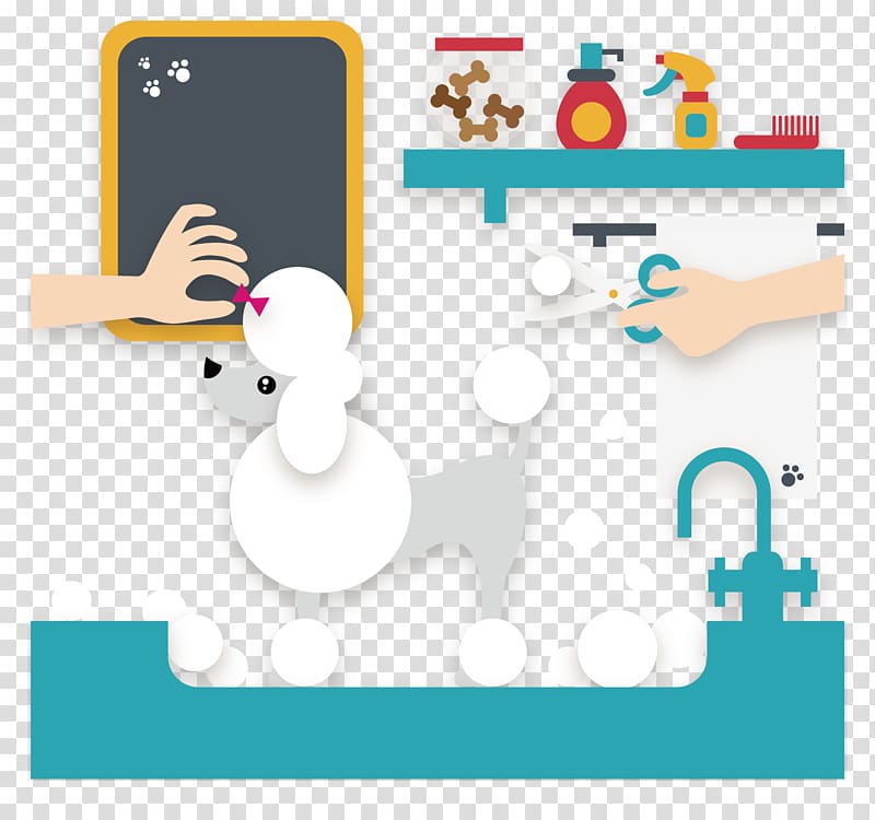 Maltipoo Goldendoodle Dog grooming Pet, White dog transparent background PNG clipart
